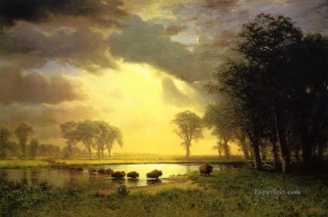 Bierstadt Albert The Buffalo Trail bulls Oil Paintings